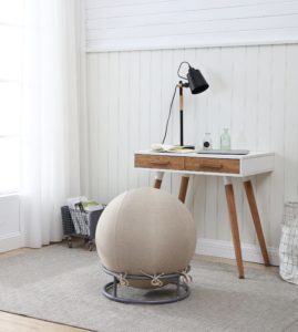 Exercise Ball Chair